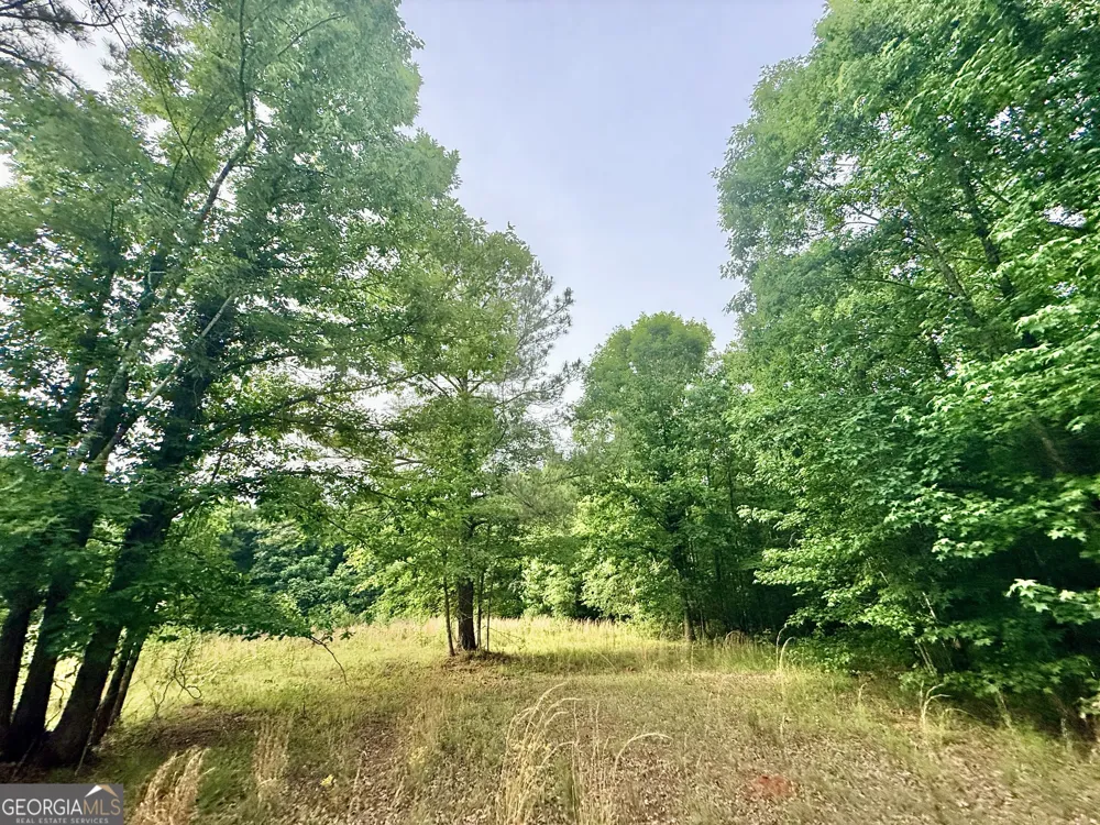 715 Fulsome Creek RD Sparta, GA 31087