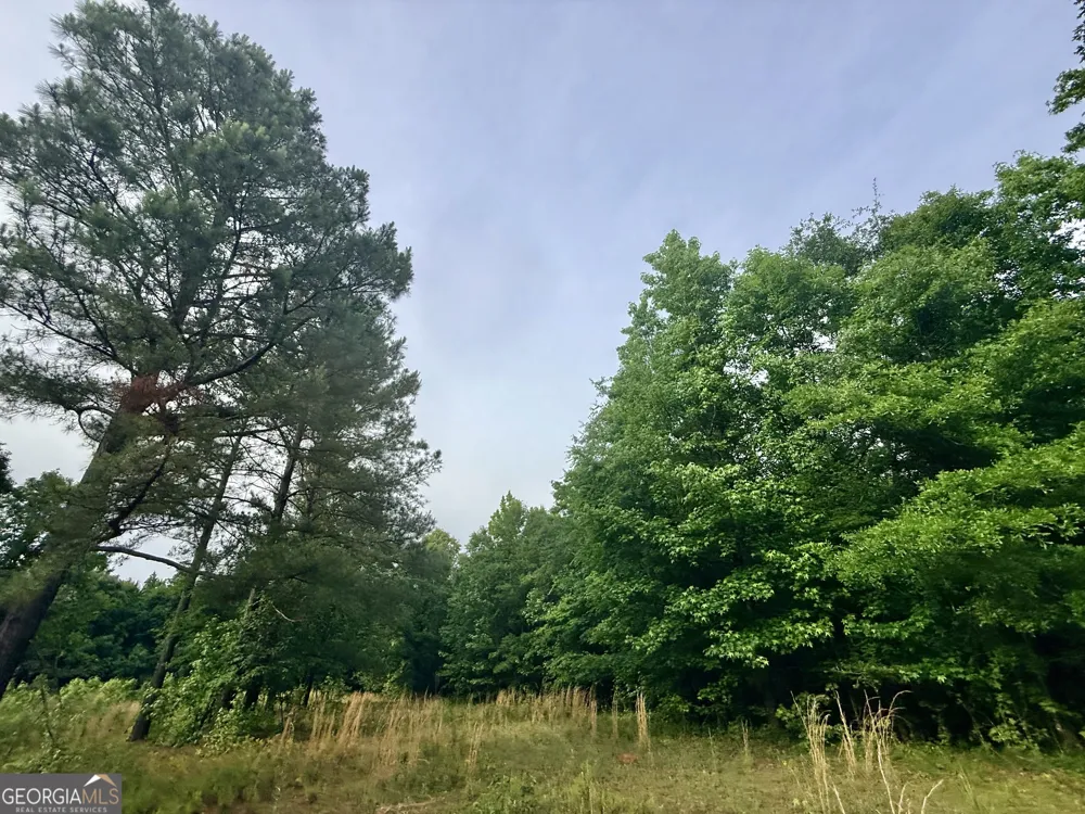 715 Fulsome Creek RD Sparta, GA 31087