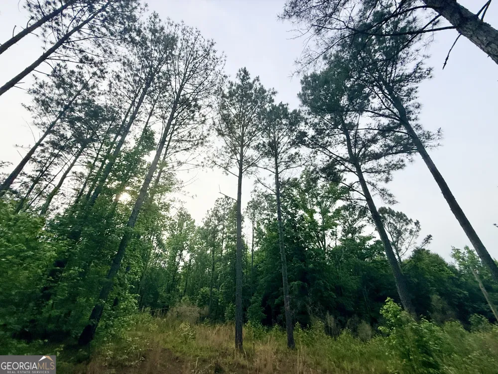 715 Fulsome Creek RD Sparta, GA 31087