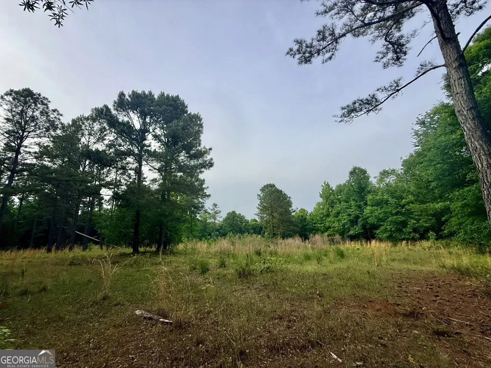 715 Fulsome Creek RD Sparta, GA 31087