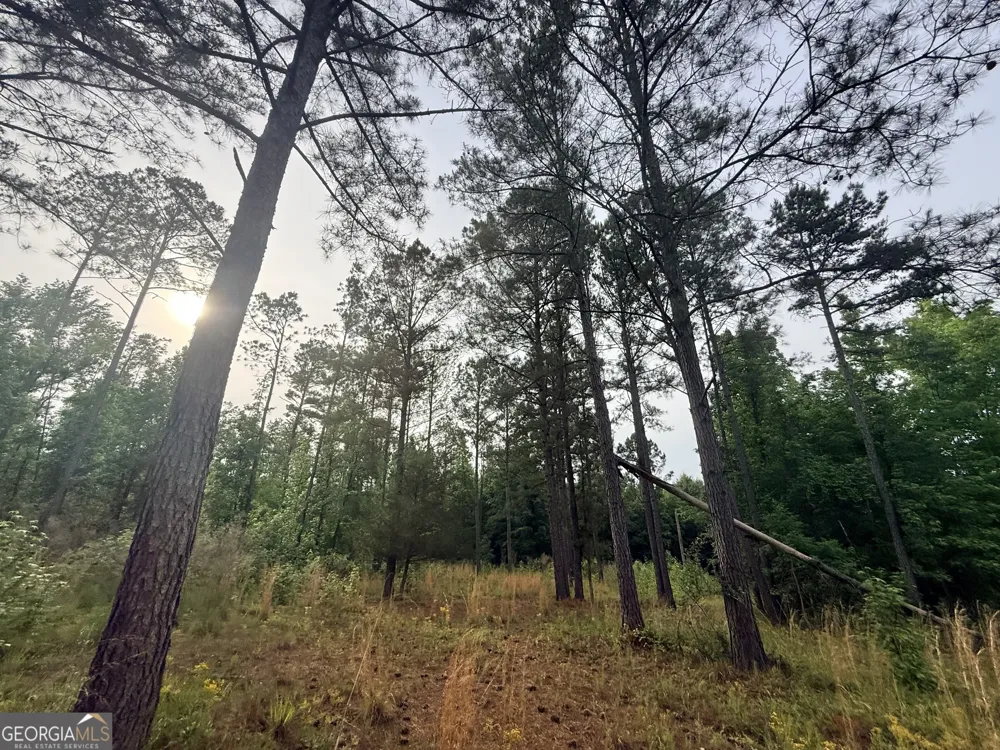 715 Fulsome Creek RD Sparta, GA 31087