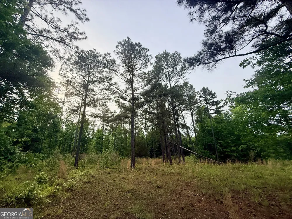 715 Fulsome Creek RD Sparta, GA 31087