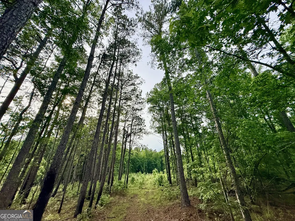 715 Fulsome Creek RD Sparta, GA 31087