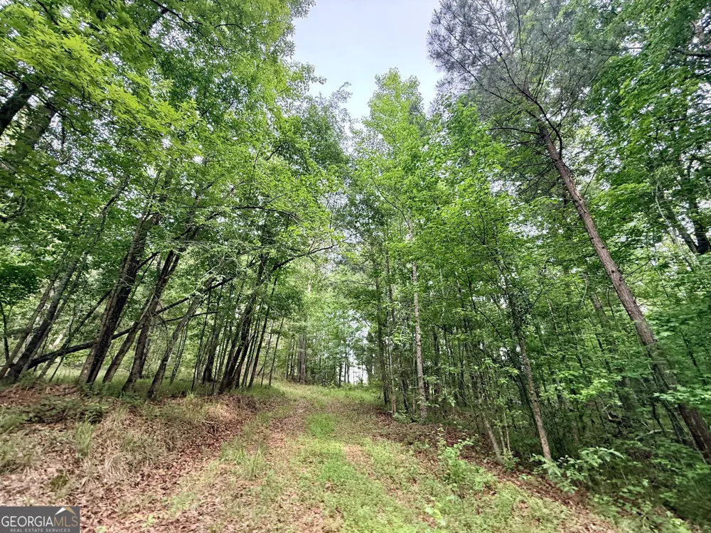 715 Fulsome Creek RD Sparta, GA 31087