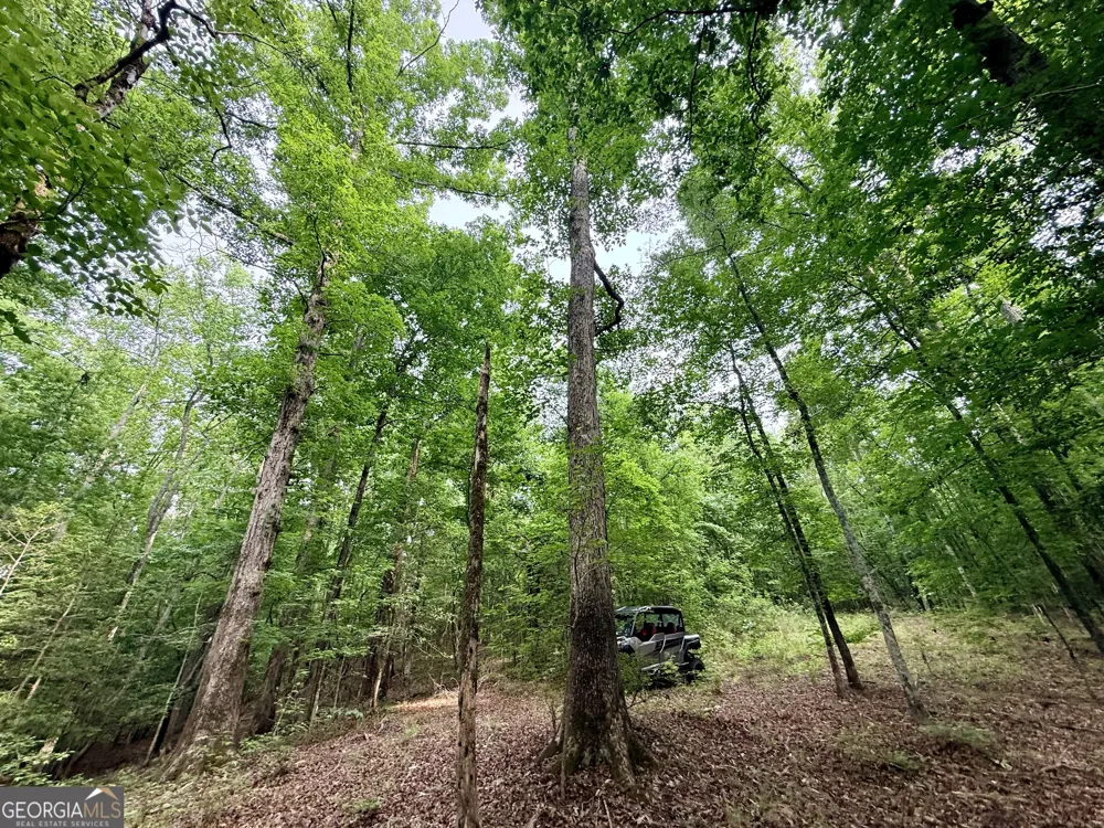 715 Fulsome Creek RD Sparta, GA 31087