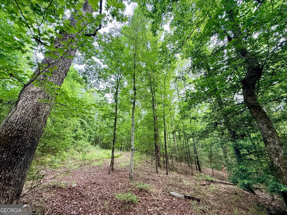 715 Fulsome Creek RD Sparta, GA 31087