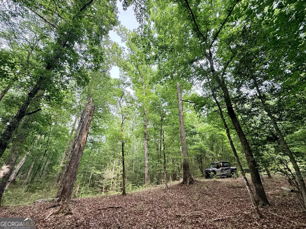 715 Fulsome Creek RD Sparta, GA 31087