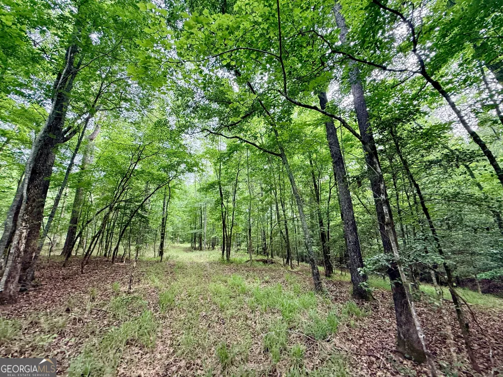 715 Fulsome Creek RD Sparta, GA 31087