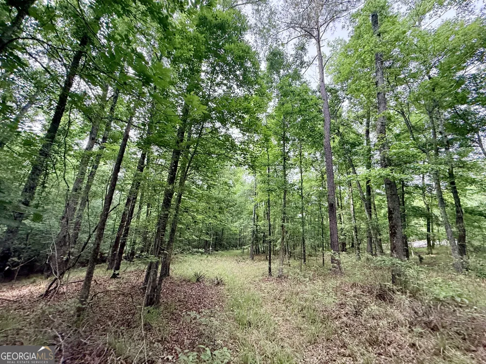 715 Fulsome Creek RD Sparta, GA 31087