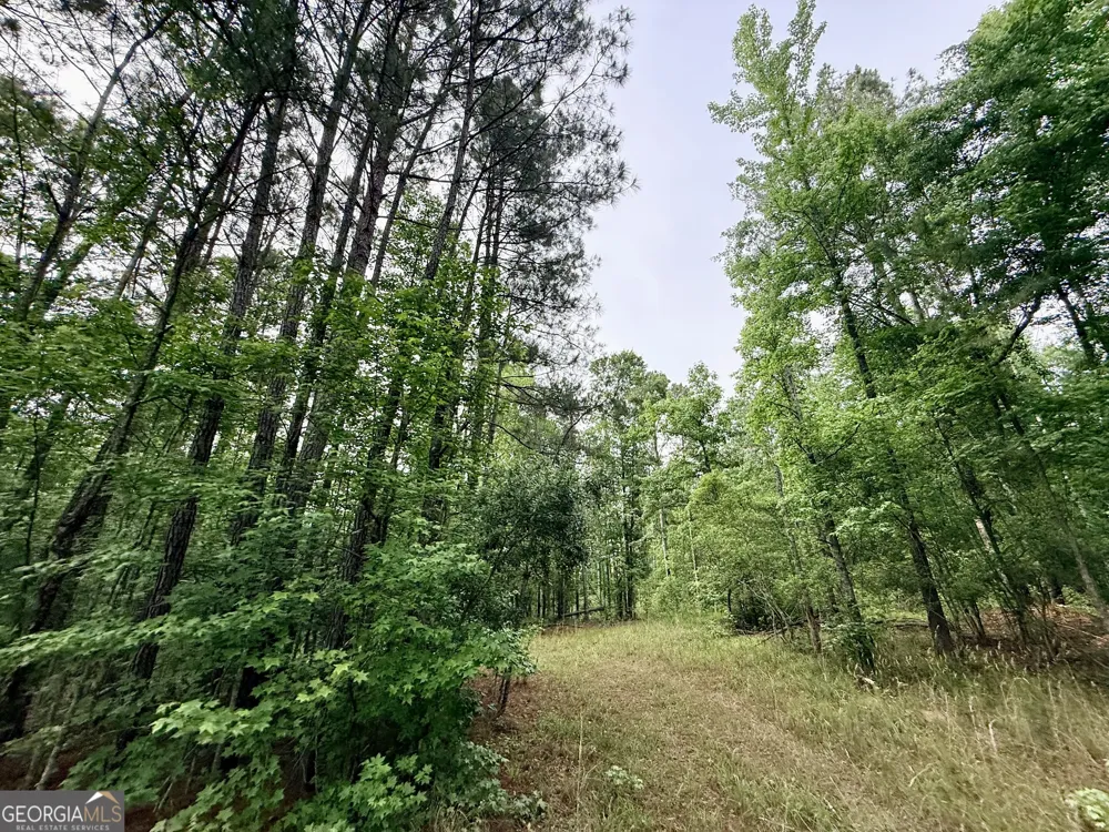 715 Fulsome Creek RD Sparta, GA 31087