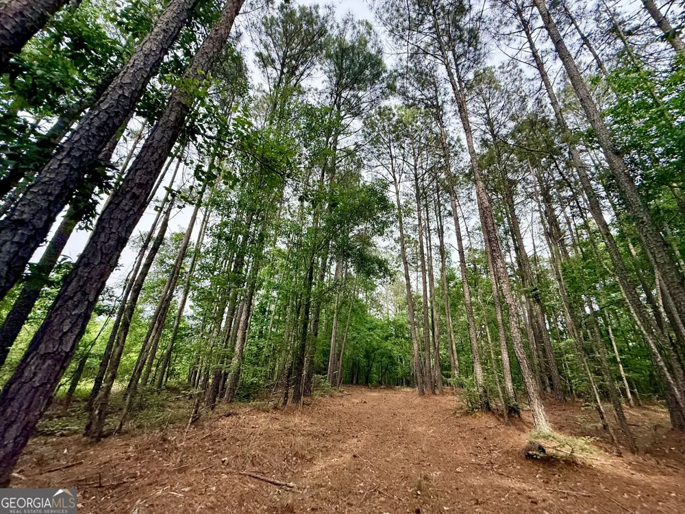715 Fulsome Creek RD Sparta, GA 31087