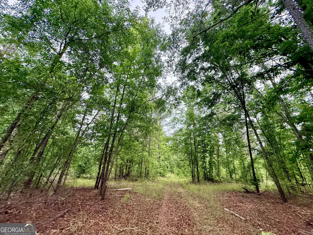 715 Fulsome Creek RD Sparta, GA 31087