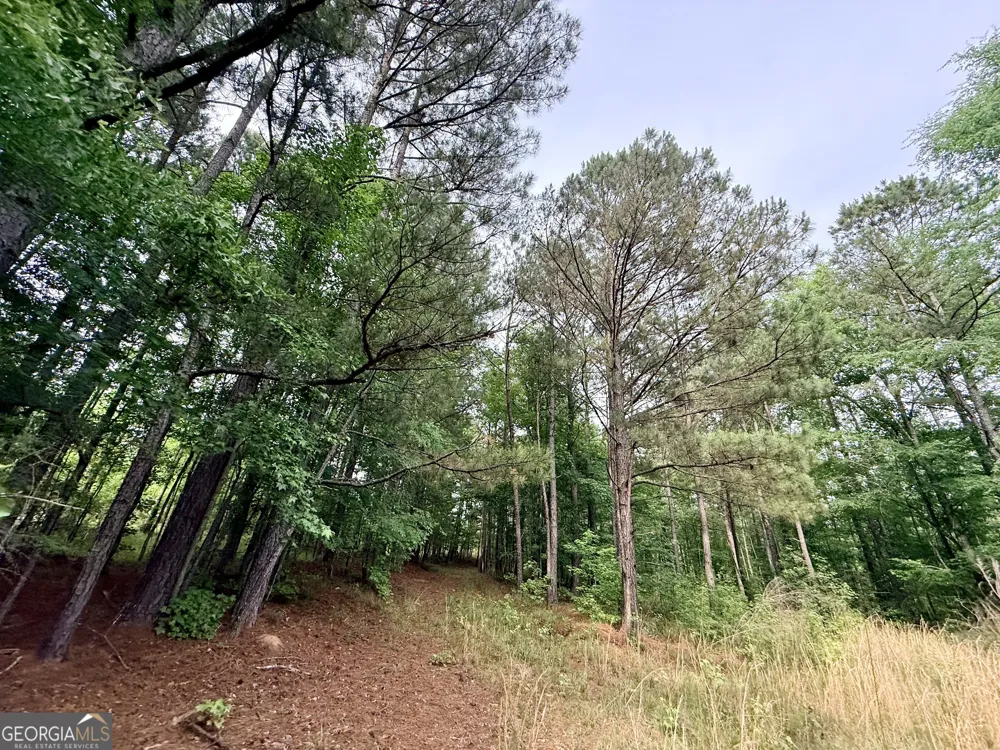 715 Fulsome Creek RD Sparta, GA 31087