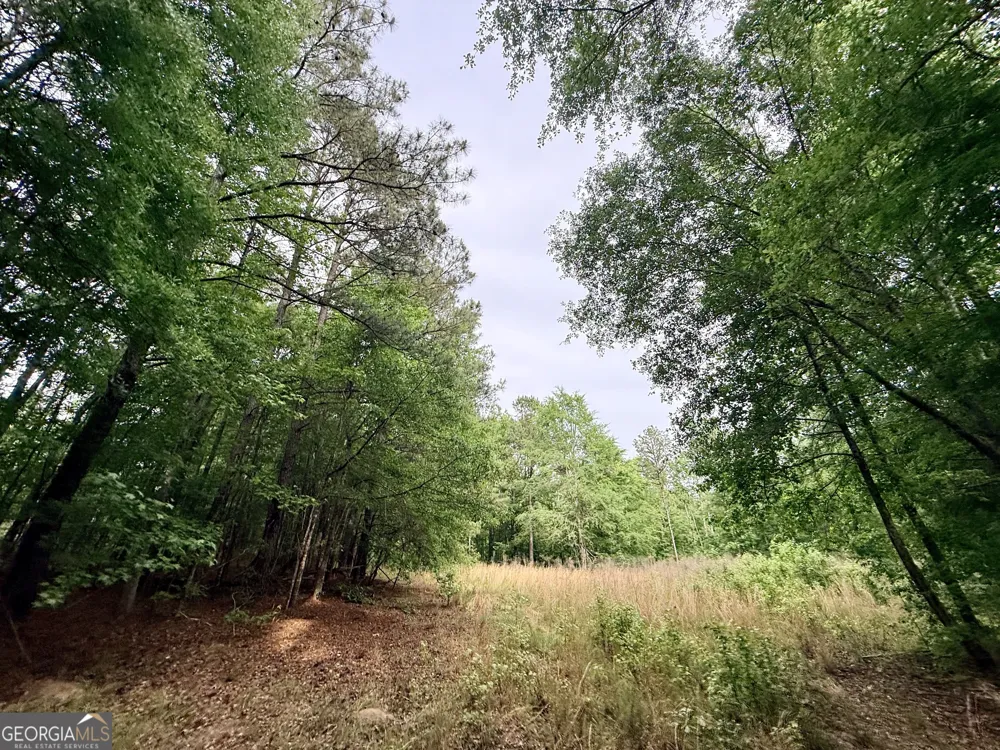 715 Fulsome Creek RD Sparta, GA 31087