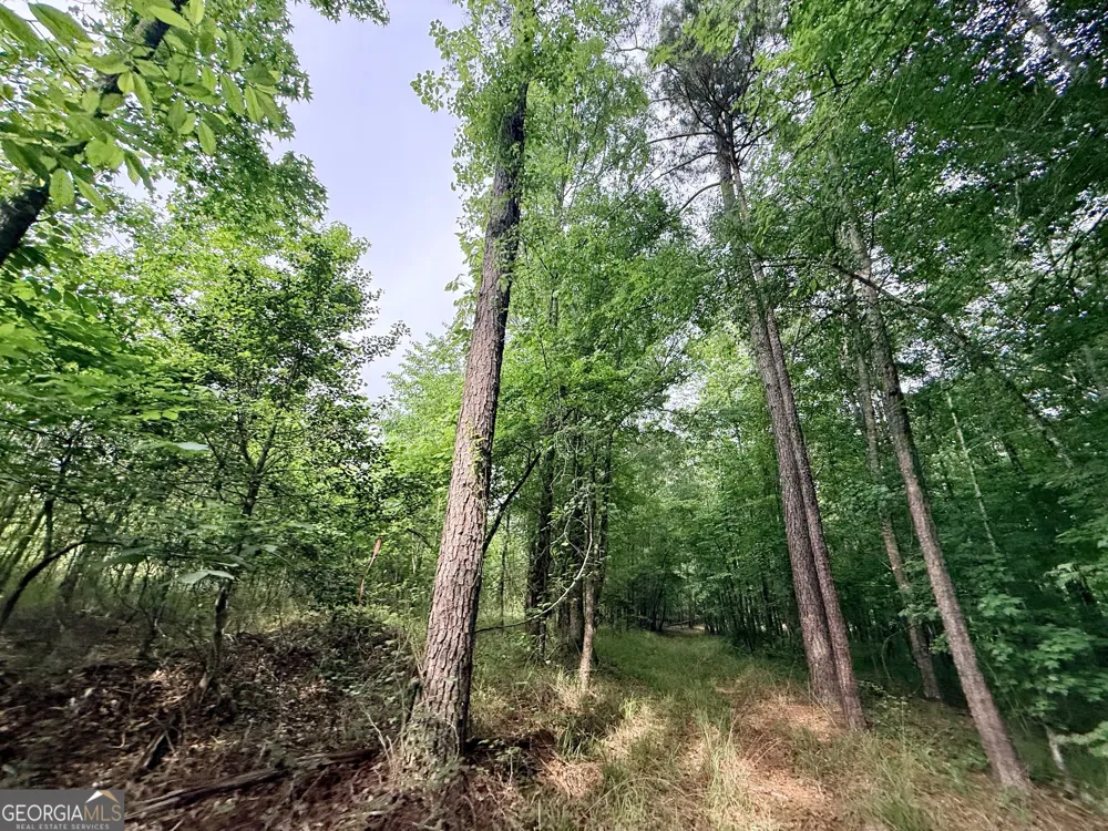 715 Fulsome Creek RD Sparta, GA 31087