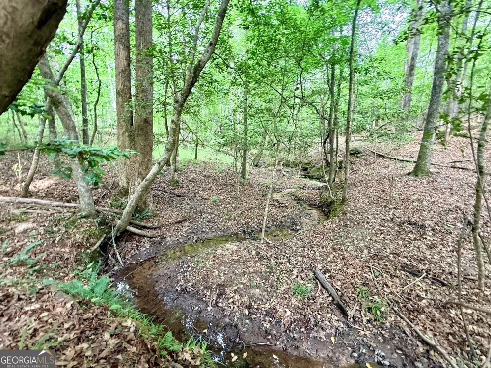 715 Fulsome Creek RD Sparta, GA 31087