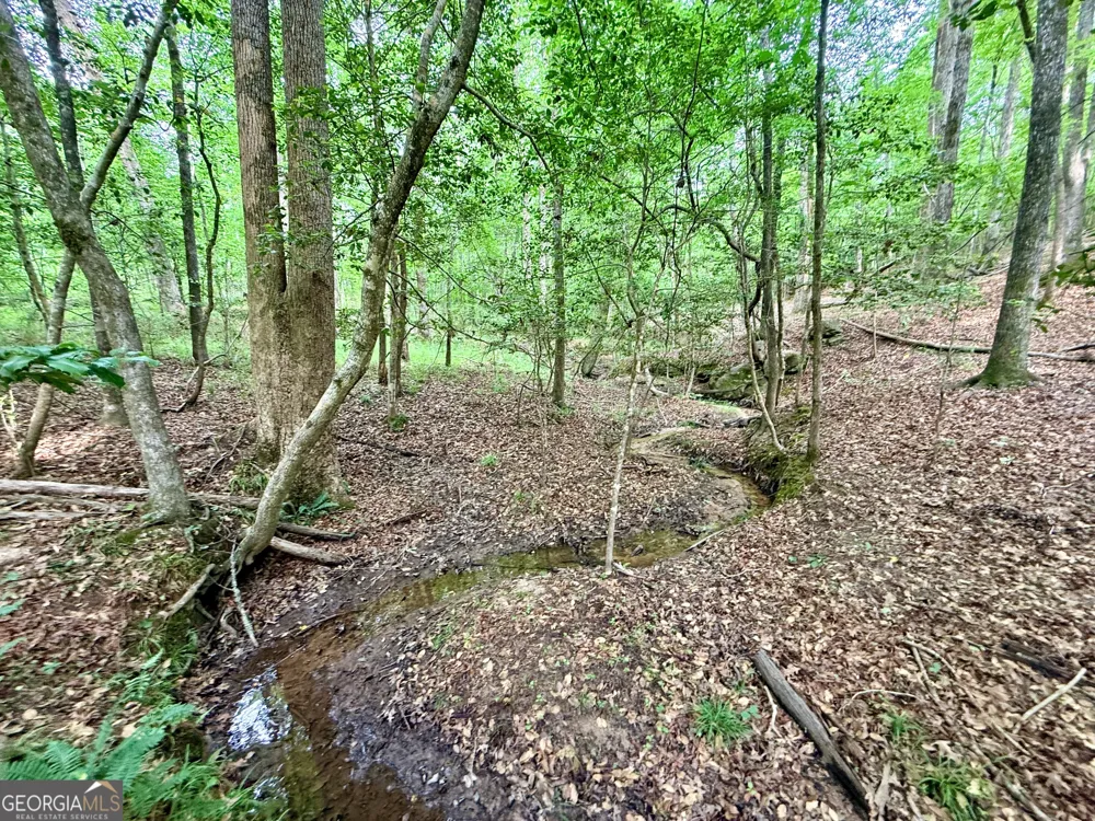 715 Fulsome Creek RD Sparta, GA 31087