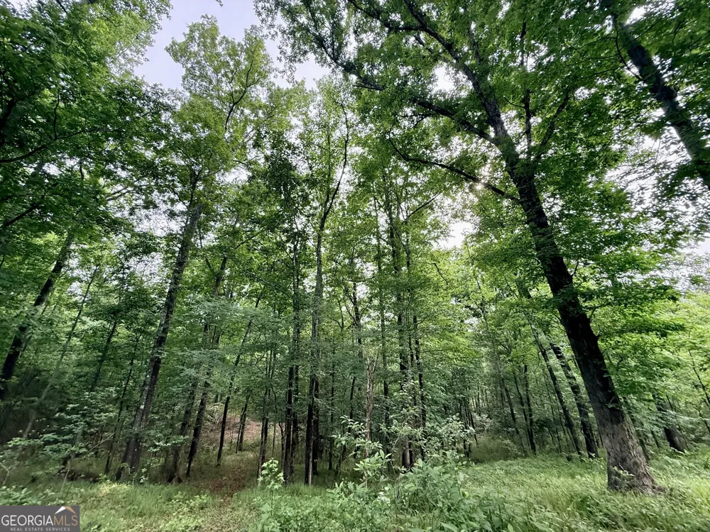 715 Fulsome Creek RD Sparta, GA 31087