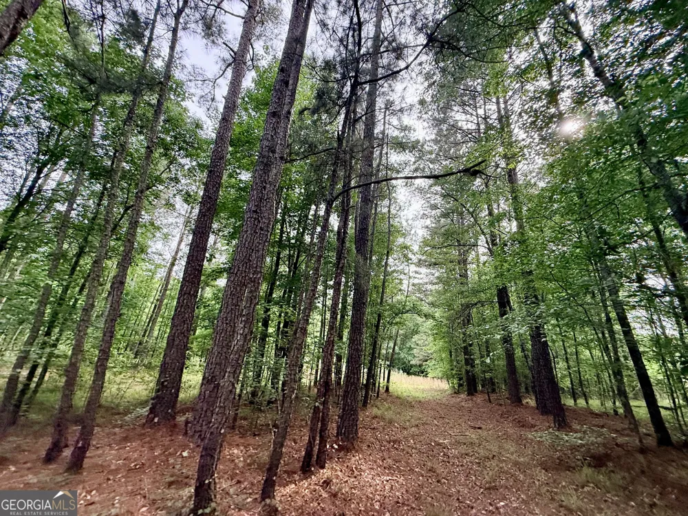 715 Fulsome Creek RD Sparta, GA 31087