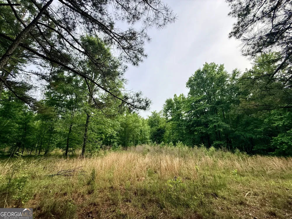 715 Fulsome Creek RD Sparta, GA 31087
