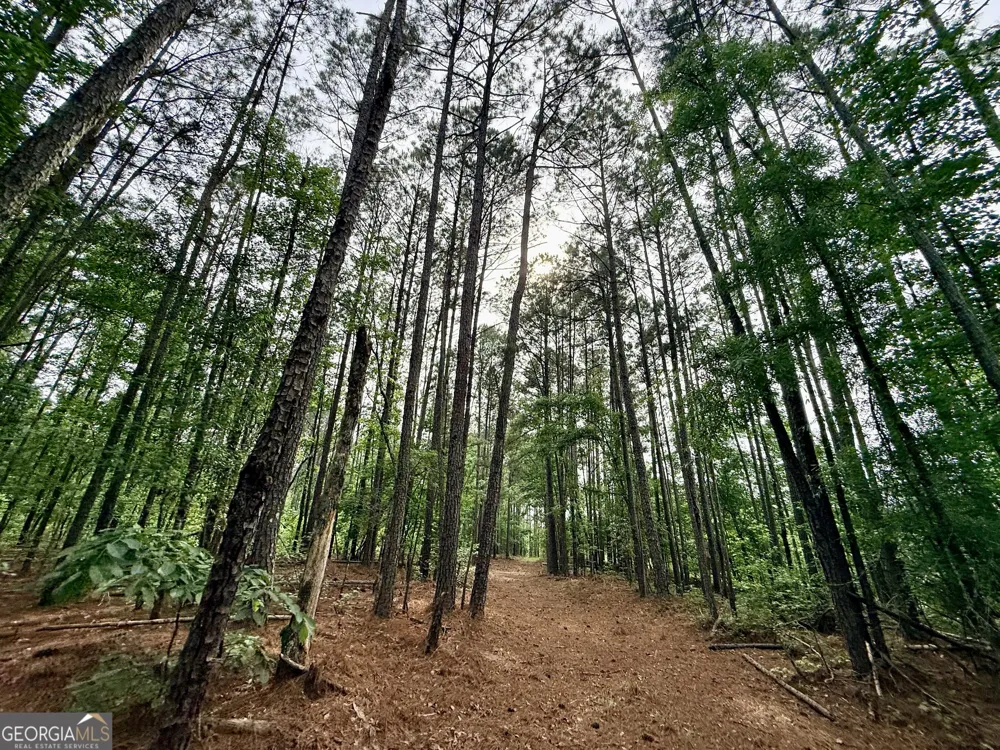 715 Fulsome Creek RD Sparta, GA 31087