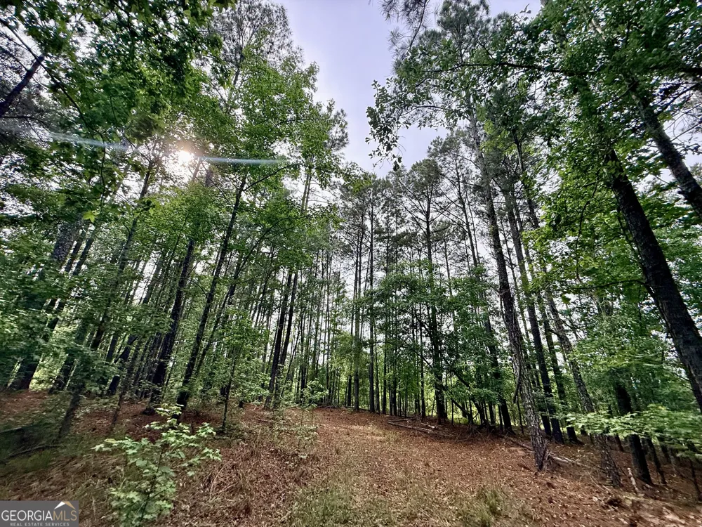 715 Fulsome Creek RD Sparta, GA 31087