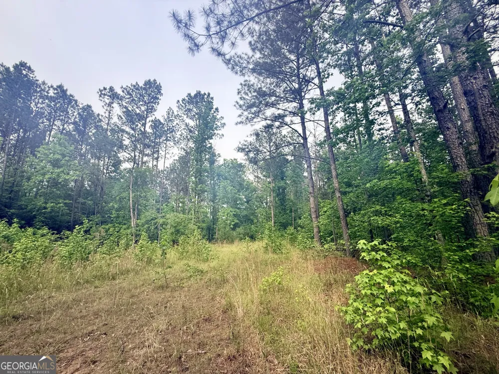 715 Fulsome Creek RD Sparta, GA 31087