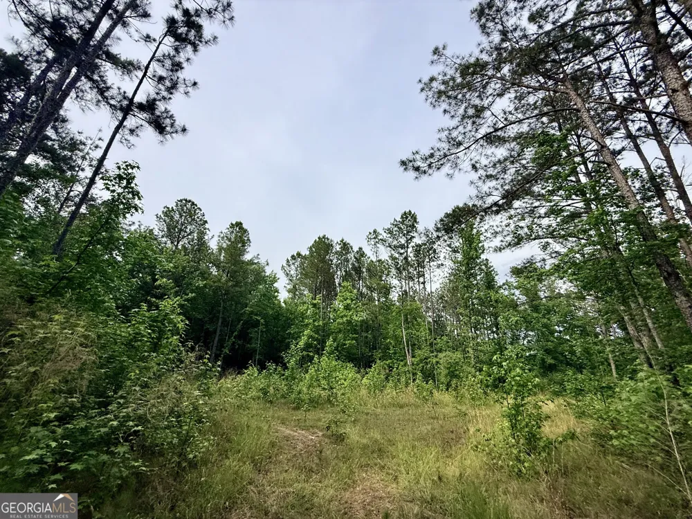 715 Fulsome Creek RD Sparta, GA 31087