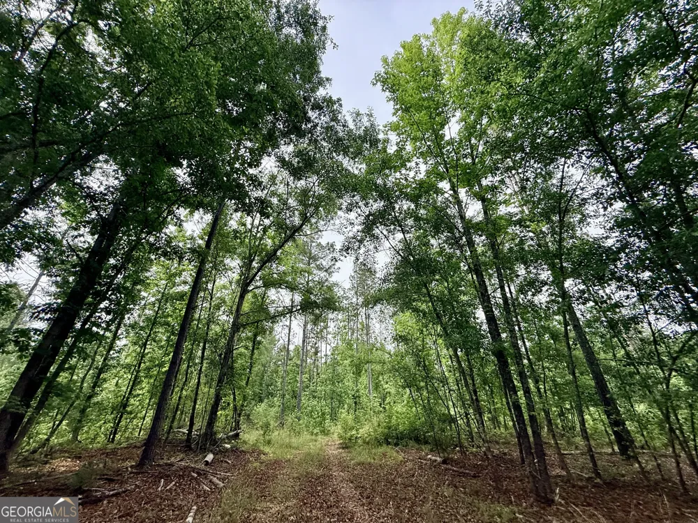 715 Fulsome Creek RD Sparta, GA 31087