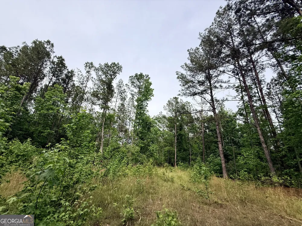 715 Fulsome Creek RD Sparta, GA 31087