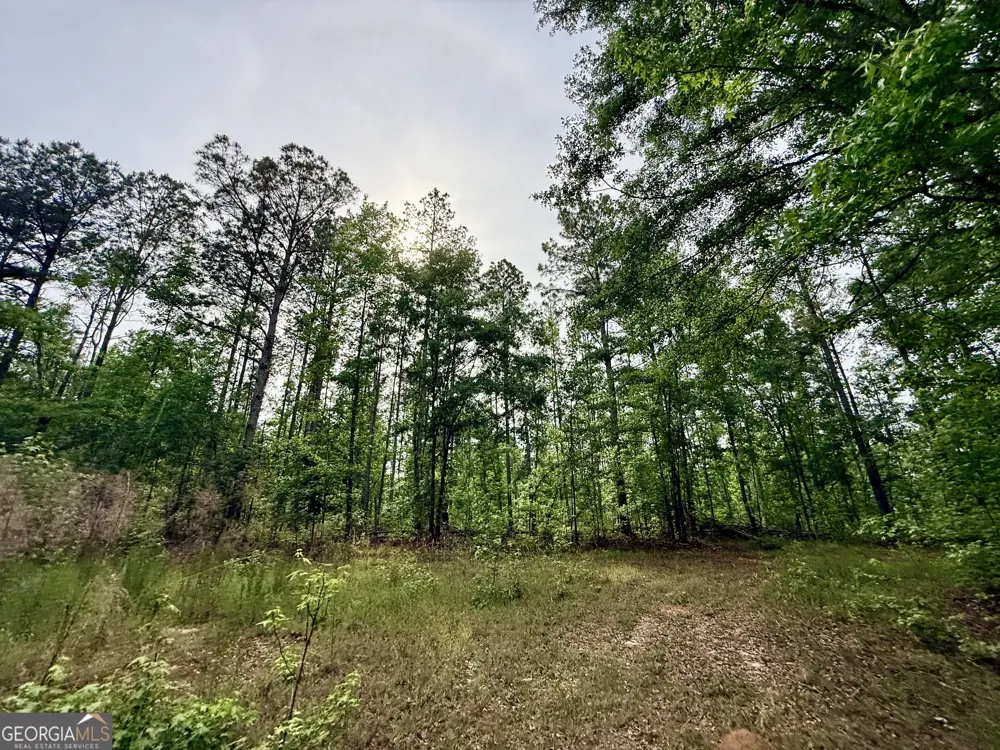 715 Fulsome Creek RD Sparta, GA 31087