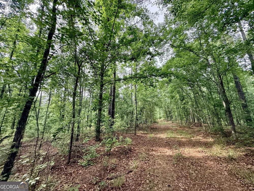 715 Fulsome Creek RD Sparta, GA 31087