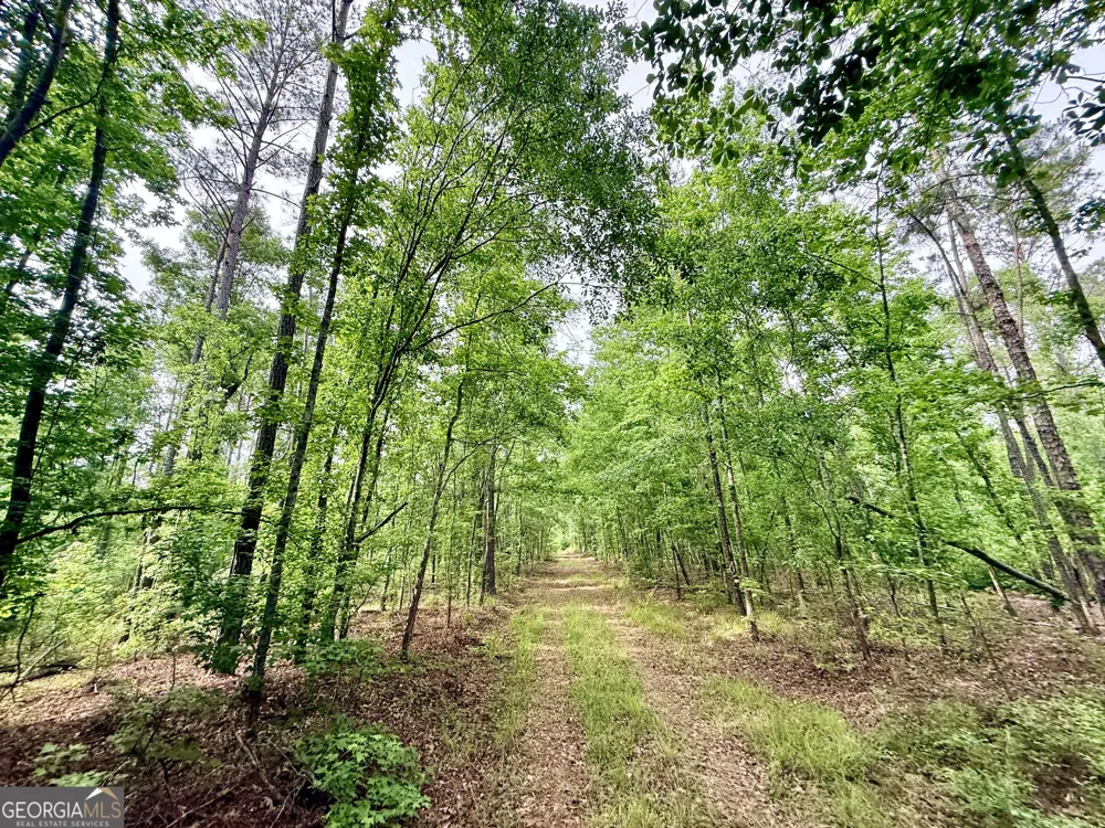 715 Fulsome Creek RD Sparta, GA 31087