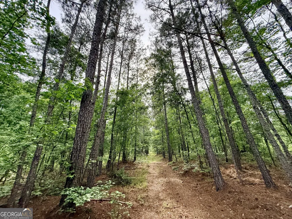 715 Fulsome Creek RD Sparta, GA 31087
