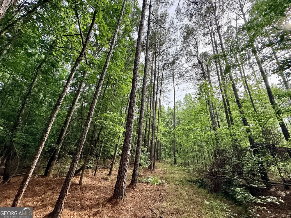 715 Fulsome Creek RD Sparta, GA 31087