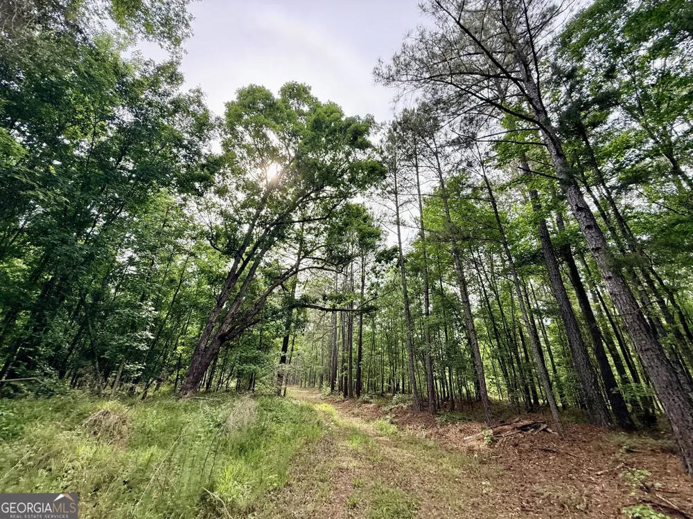 715 Fulsome Creek RD Sparta, GA 31087