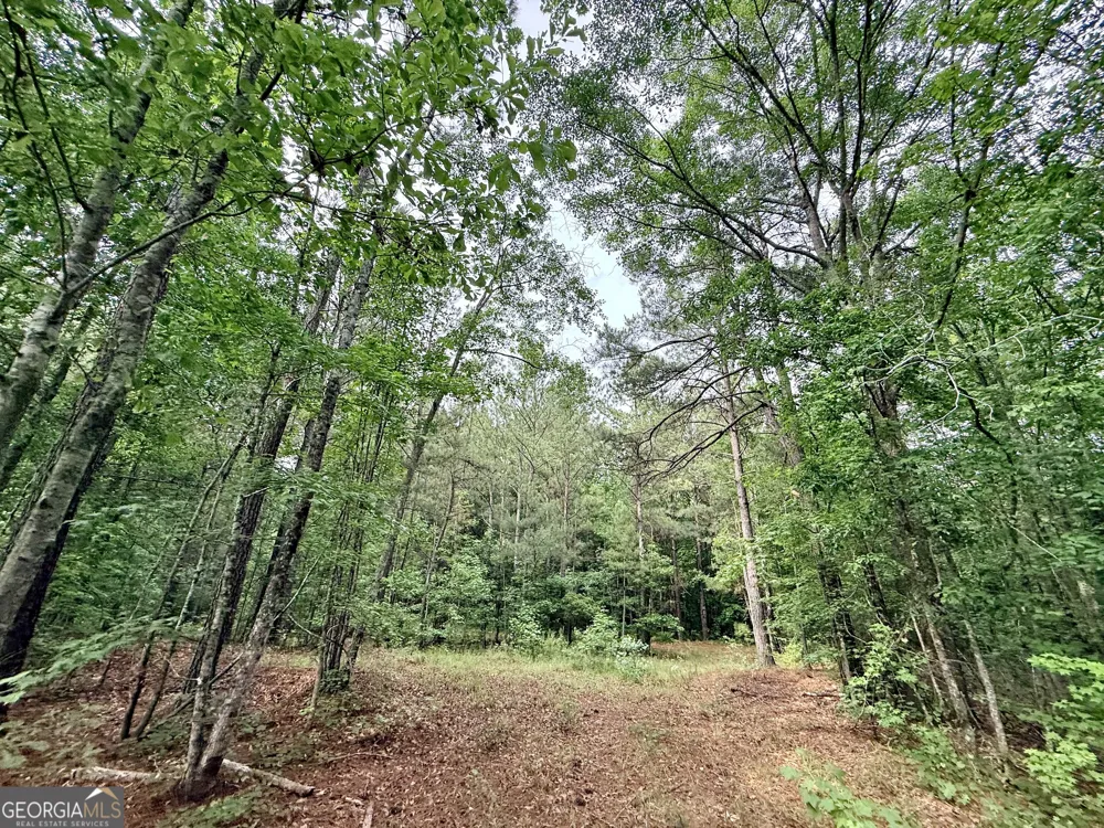 715 Fulsome Creek RD Sparta, GA 31087
