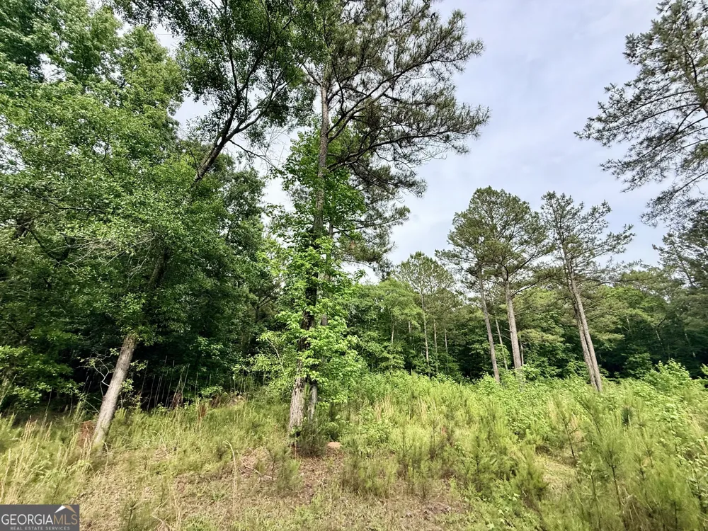 715 Fulsome Creek RD Sparta, GA 31087