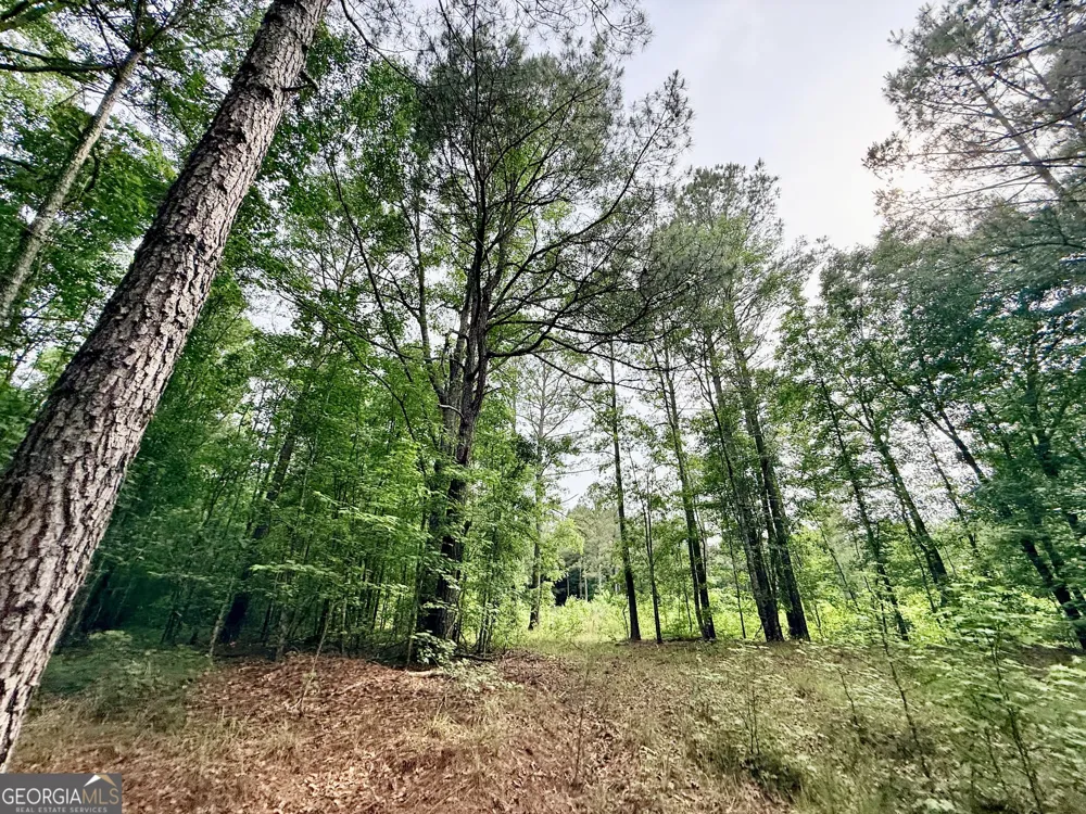 715 Fulsome Creek RD Sparta, GA 31087