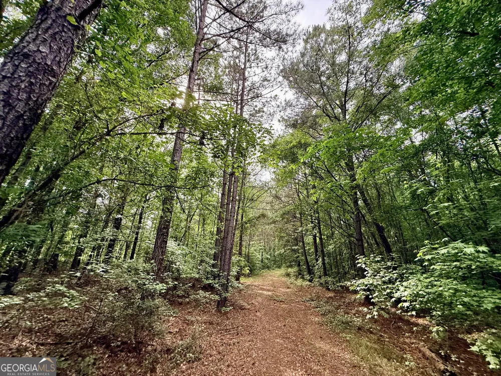 715 Fulsome Creek RD Sparta, GA 31087