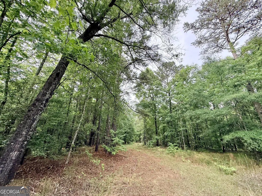 715 Fulsome Creek RD Sparta, GA 31087