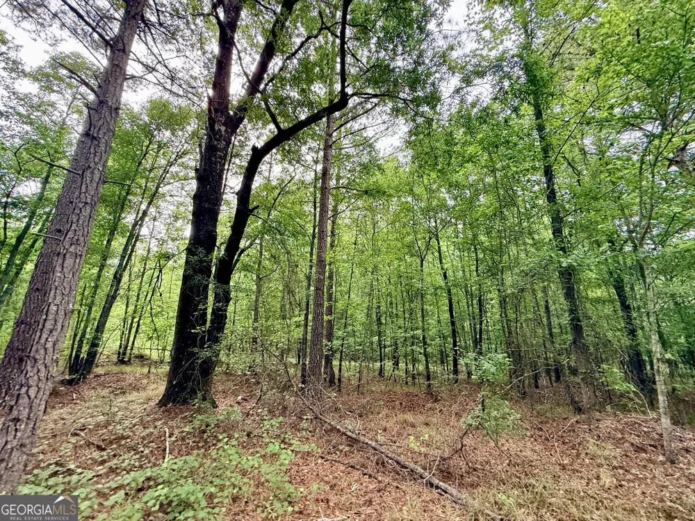 715 Fulsome Creek RD Sparta, GA 31087