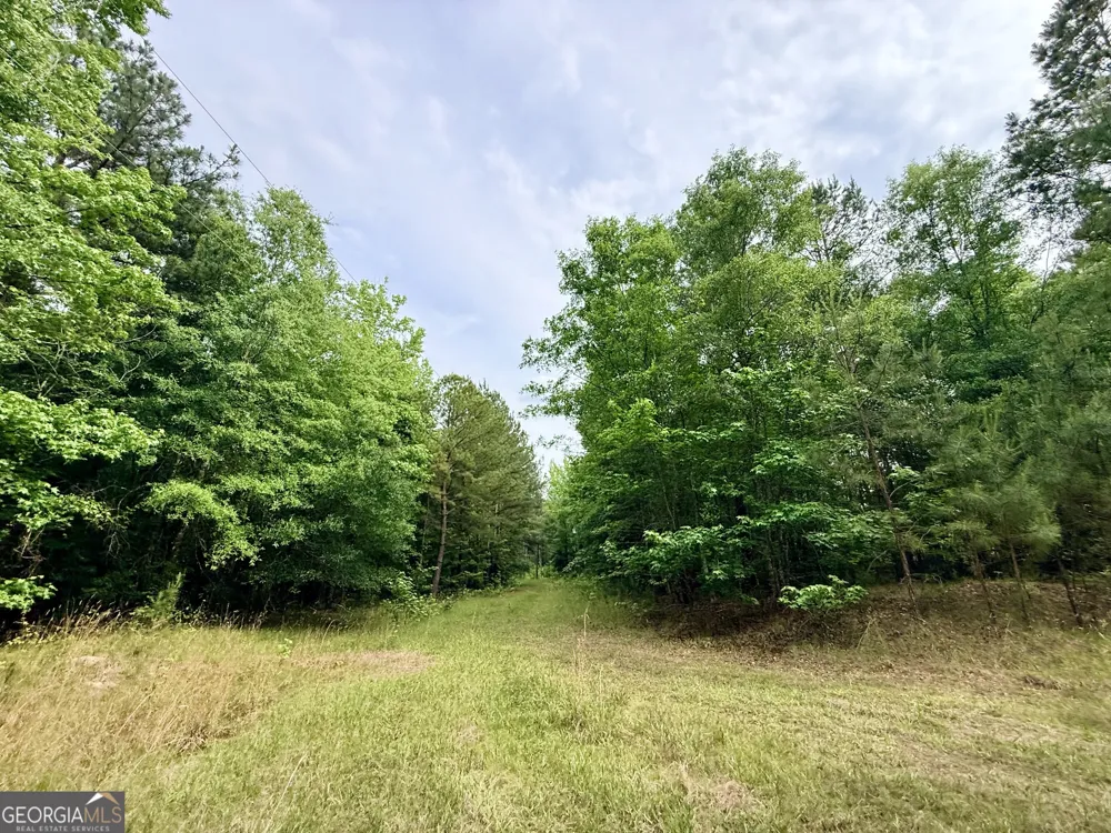 715 Fulsome Creek RD Sparta, GA 31087