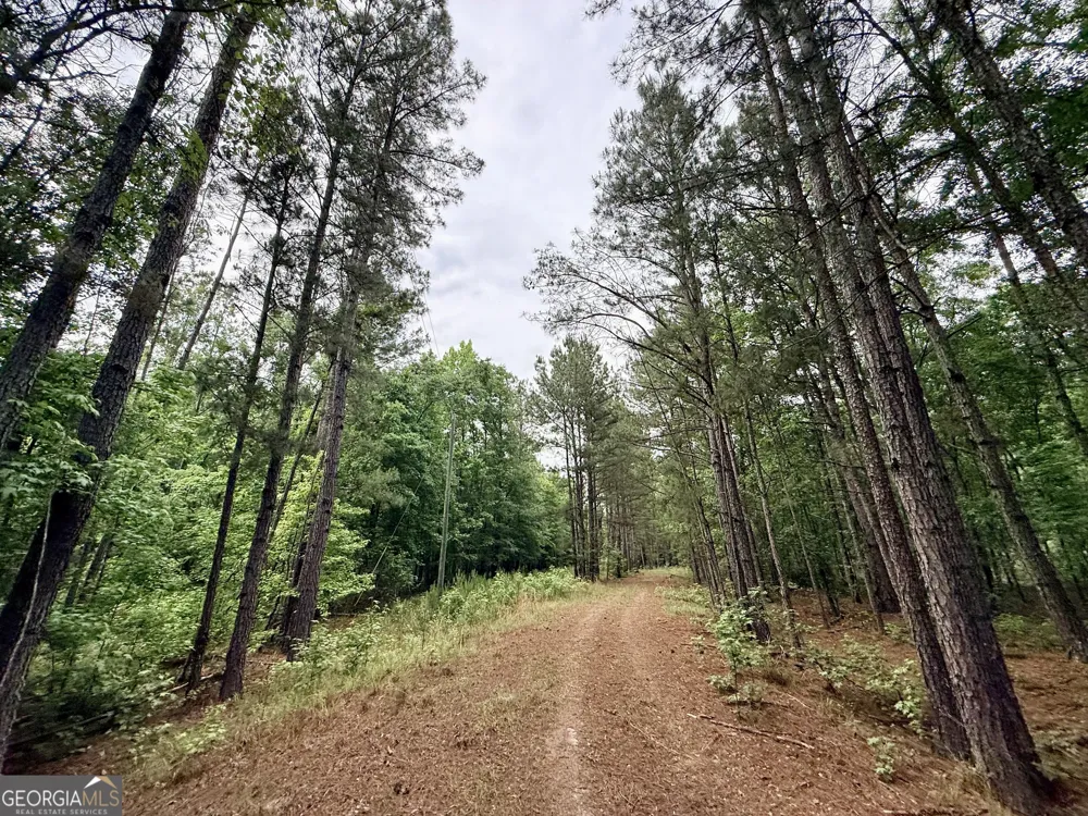 715 Fulsome Creek RD Sparta, GA 31087