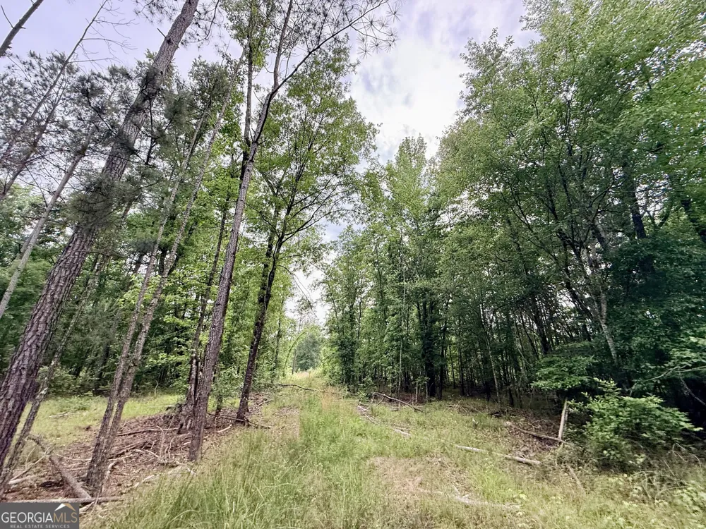 715 Fulsome Creek RD Sparta, GA 31087