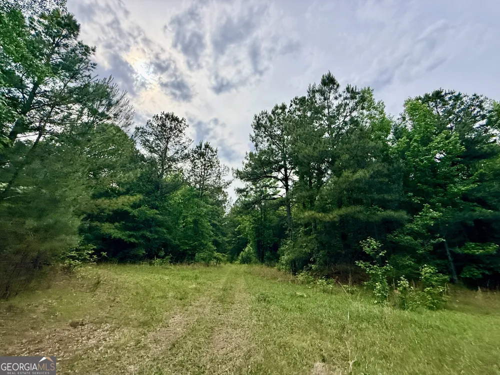 715 Fulsome Creek RD Sparta, GA 31087