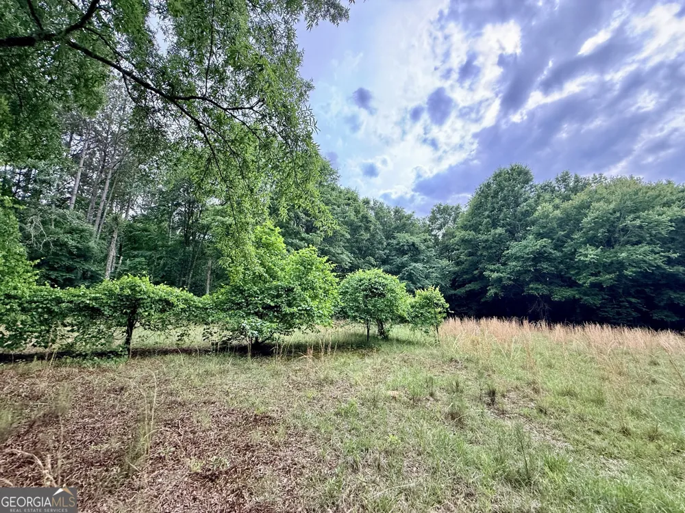 715 Fulsome Creek RD Sparta, GA 31087