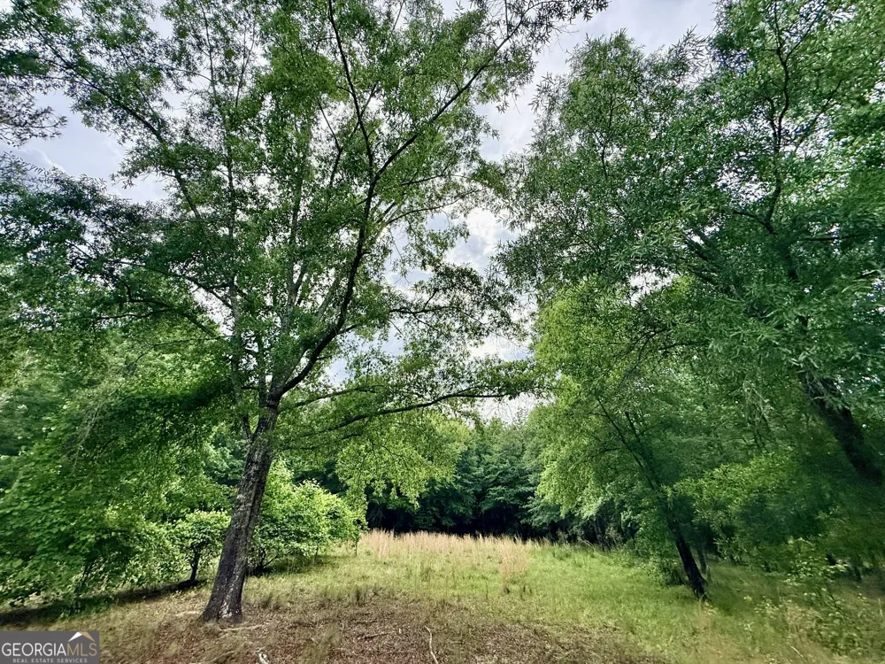 715 Fulsome Creek RD Sparta, GA 31087