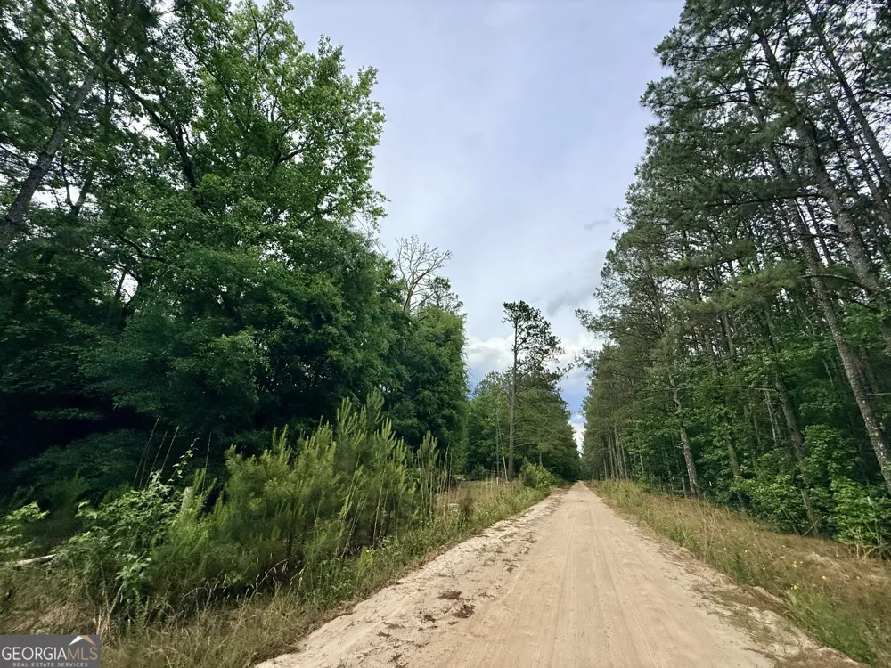 715 Fulsome Creek RD Sparta, GA 31087