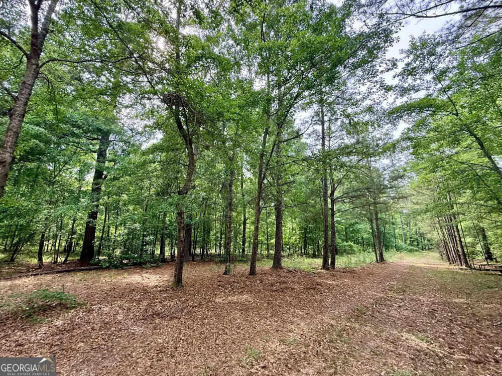 715 Fulsome Creek RD Sparta, GA 31087